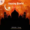 About Amazing Mawlid Song